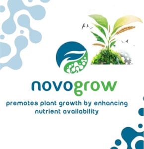 Novogrow Mini Logo